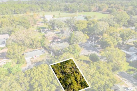 House in Mount Dora, Florida 3 bedrooms, 97.27 sq.m. № 1513915 - photo 18