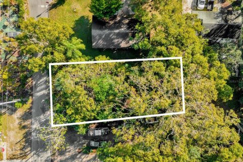 House in Mount Dora, Florida 3 bedrooms, 97.27 sq.m. № 1513915 - photo 13