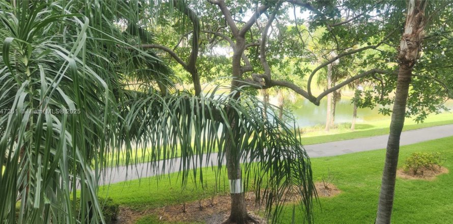Condo in Hollywood, Florida, 1 bedroom № 1891080