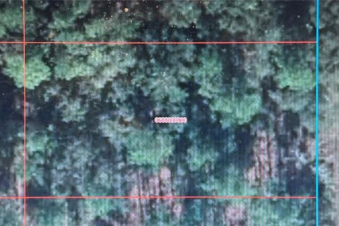 Land in Dunnellon, Florida № 2158909 - photo 2