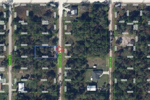Terreno en Lake Placid, Florida № 2164429