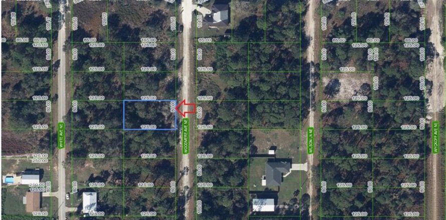 Land in Lake Placid, Florida № 2164429