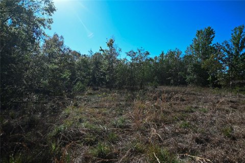 Land in Groveland, Florida № 1724503 - photo 16