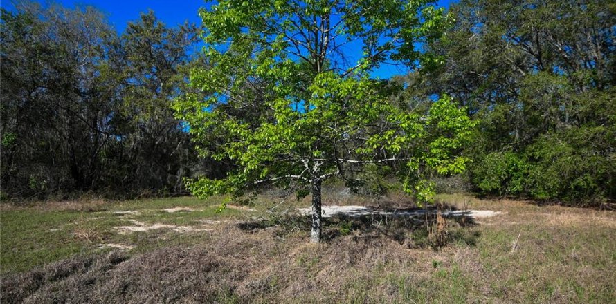 Land in Groveland, Florida № 1724503