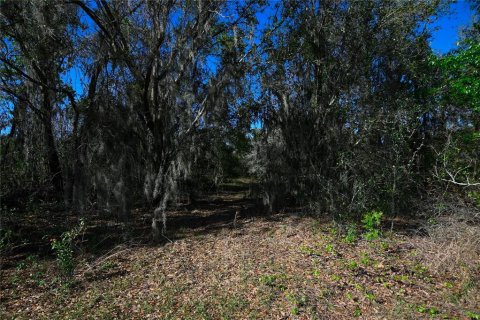 Land in Groveland, Florida № 1724503 - photo 30