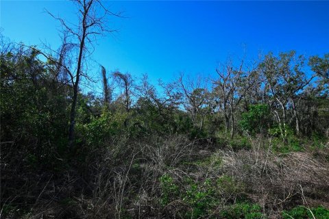 Land in Groveland, Florida № 1724503 - photo 27