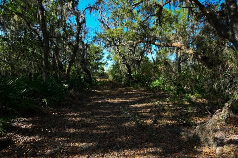 Land in Groveland, Florida № 1724503 - photo 19