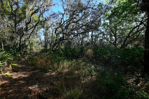 Land in Groveland, Florida № 1724503 - photo 7