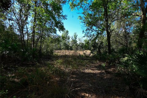 Land in Groveland, Florida № 1724503 - photo 17
