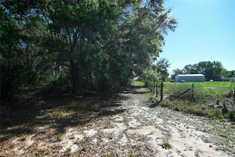 Land in Groveland, Florida № 1724503 - photo 3