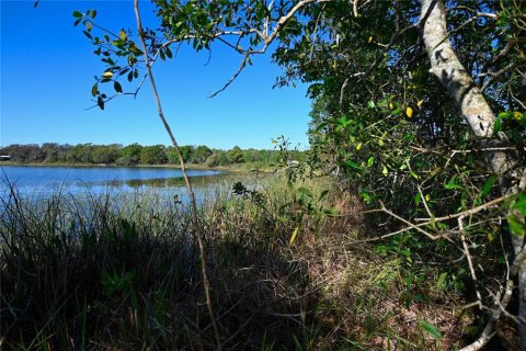 Land in Groveland, Florida № 1724503 - photo 10