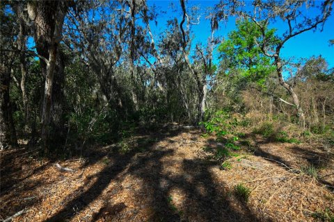Land in Groveland, Florida № 1724503 - photo 21