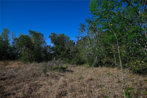 Land in Groveland, Florida № 1724503 - photo 14