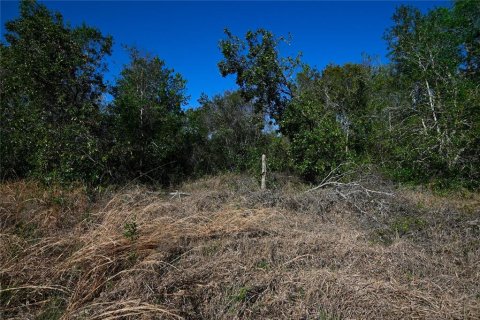 Land in Groveland, Florida № 1724503 - photo 12