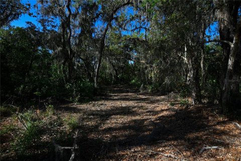 Land in Groveland, Florida № 1724503 - photo 23