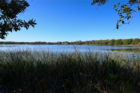 Land in Groveland, Florida № 1724503 - photo 11