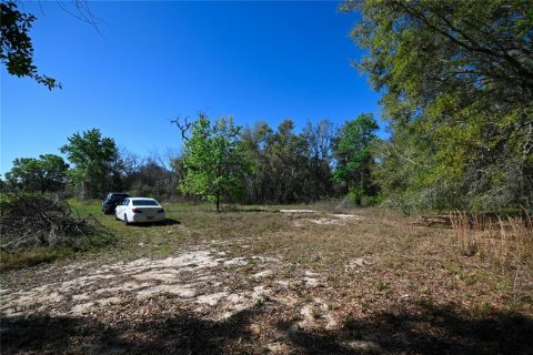 Land in Groveland, Florida № 1724503 - photo 2