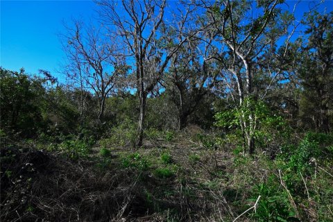 Land in Groveland, Florida № 1724503 - photo 26