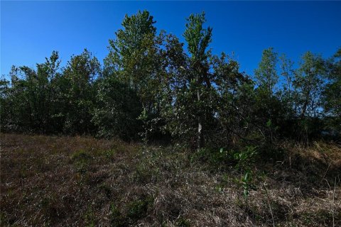 Land in Groveland, Florida № 1724503 - photo 13