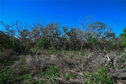 Land in Groveland, Florida № 1724503 - photo 28