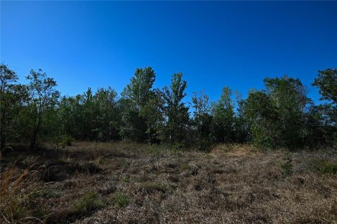 Land in Groveland, Florida № 1724503 - photo 15