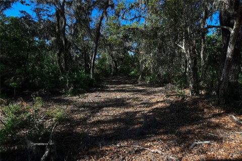 Land in Groveland, Florida № 1724503 - photo 22