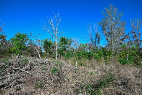Land in Groveland, Florida № 1724503 - photo 29
