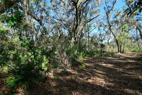 Land in Groveland, Florida № 1724503 - photo 5