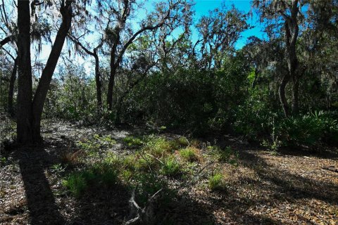 Land in Groveland, Florida № 1724503 - photo 20
