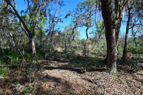 Land in Groveland, Florida № 1724503 - photo 4