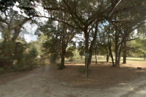 Land in Summerfield, Florida № 2165766 - photo 2