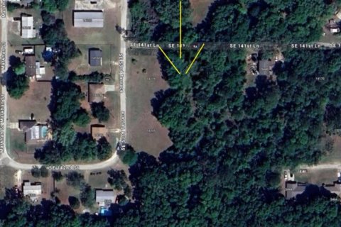 Land in Summerfield, Florida № 2165766 - photo 3