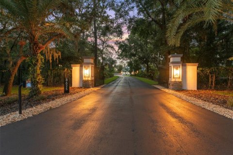 Casa en venta en Odessa, Florida, 4 dormitorios, 463.4 m2 № 1848535 - foto 3