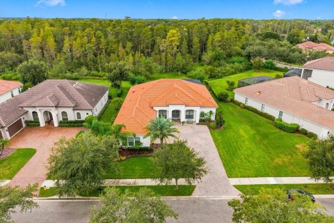 Villa ou maison à vendre à Lutz, Floride: 5 chambres, 354.89 m2 № 2420572 - photo 4