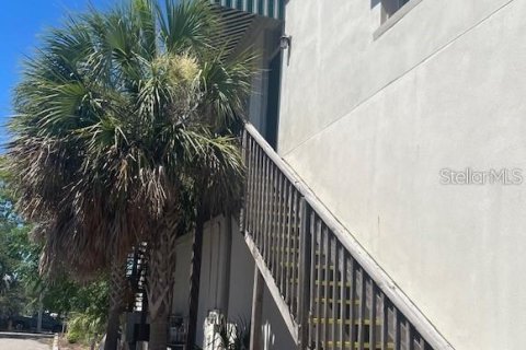 Appartement à louer à Tarpon Springs, Floride: 1 chambre, 91.88 m2 № 1742837 - photo 3