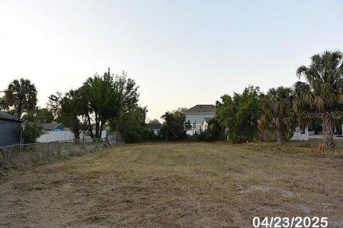 Terreno en venta en Tampa, Florida № 1765416 - foto 2