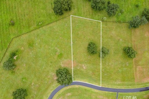 Land in Archer, Florida № 1650296 - photo 2