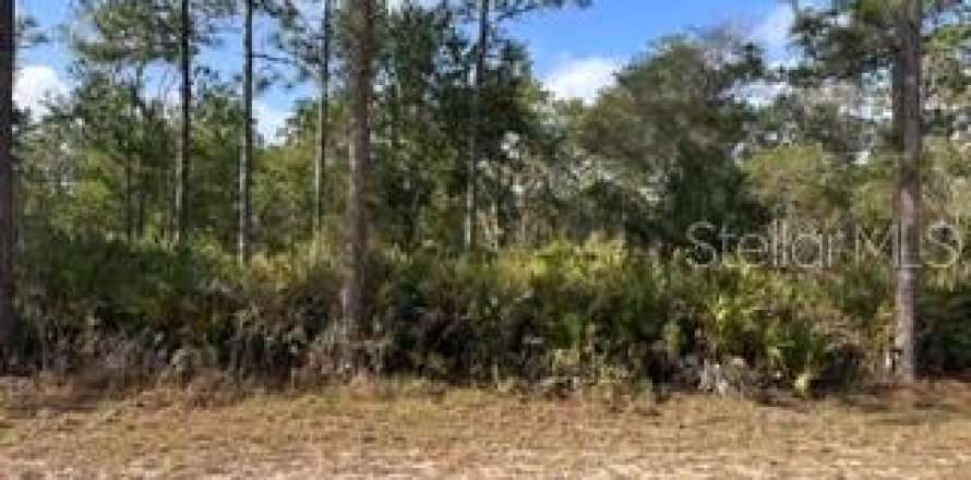 Terrain à Indian lake estates, Floride № 2208234