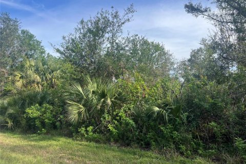 Land in Port Charlotte, Florida № 2162711