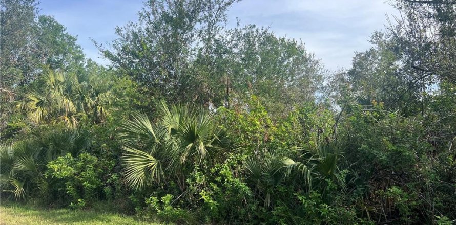 Land in Port Charlotte, Florida № 2162711