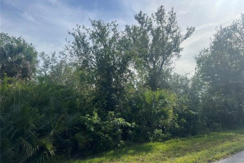 Land in Port Charlotte, Florida № 2162711 - photo 2