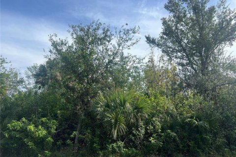 Land in Port Charlotte, Florida № 2162711 - photo 3