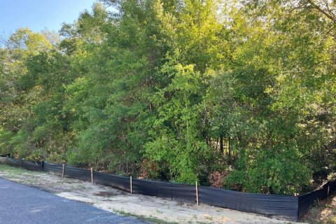 Land in Citrus Springs, Florida № 2205832 - photo 2