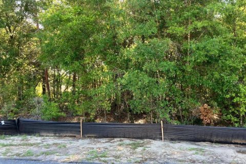 Land in Citrus Springs, Florida № 2205832