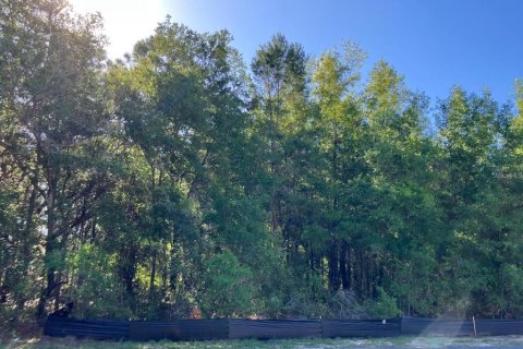 Land in Citrus Springs, Florida № 2205832 - photo 3