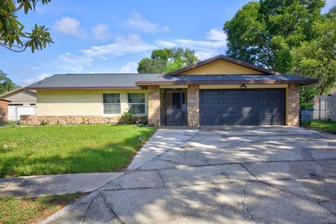 House in Seffner, Florida 3 bedrooms, 150.5 sq.m. № 2285275
