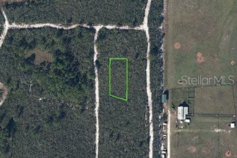 Land in Sebring, Florida № 2206102