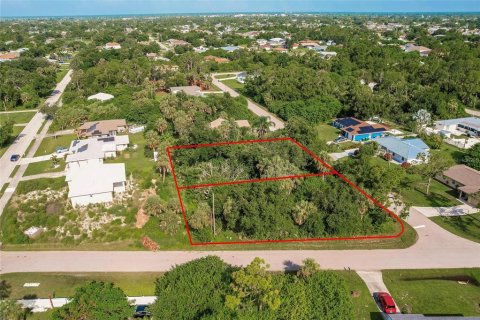 Land in Punta Gorda, Florida № 2158913 - photo 3