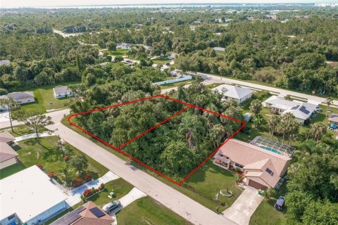 Land in Punta Gorda, Florida № 2158913 - photo 8