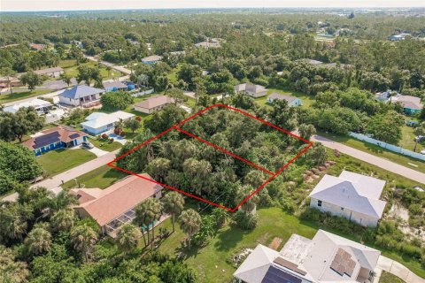 Land in Punta Gorda, Florida № 2158913 - photo 6